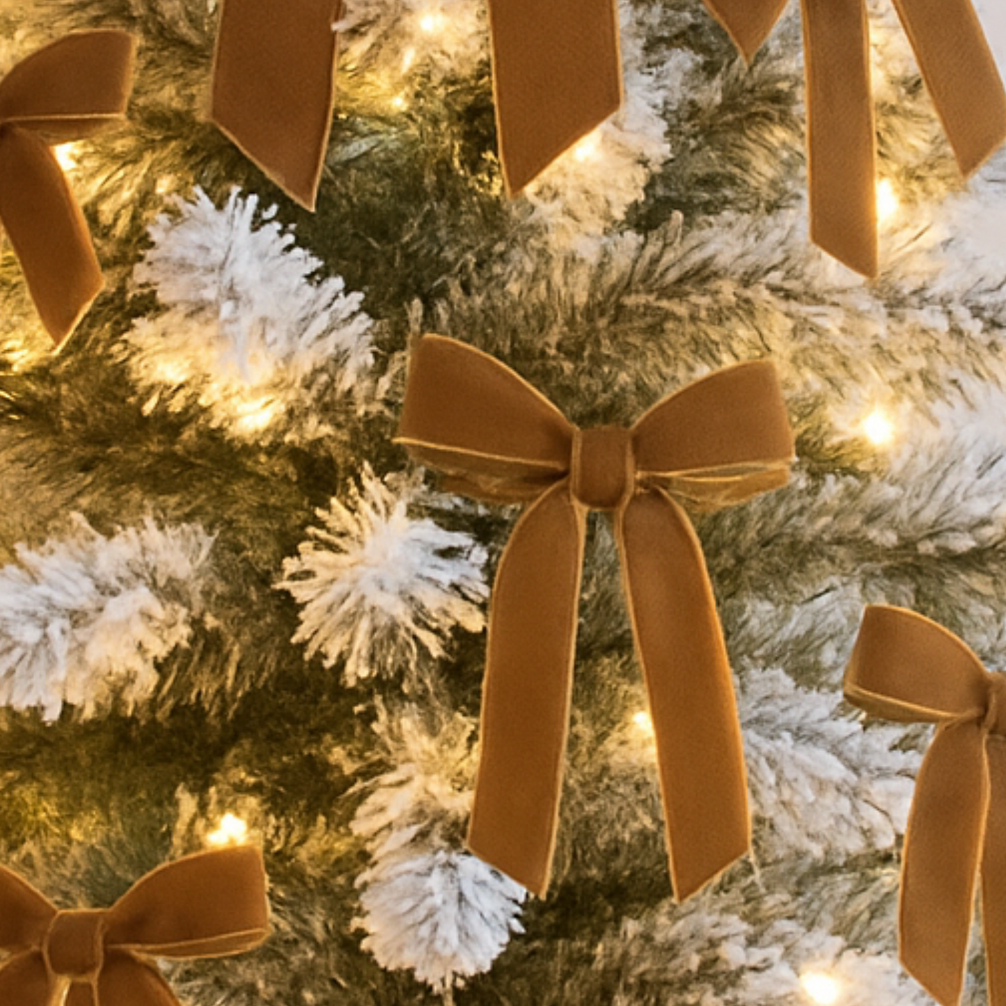 Velvet Elegance Bows